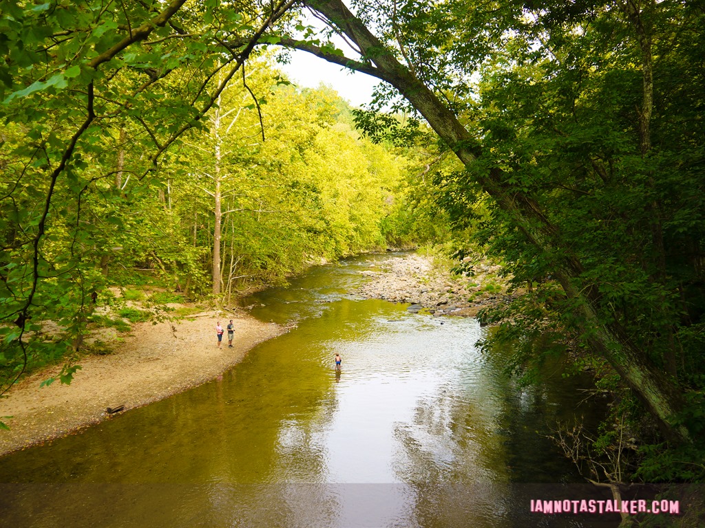 Patapsco Valley State Park from Serial-1170445