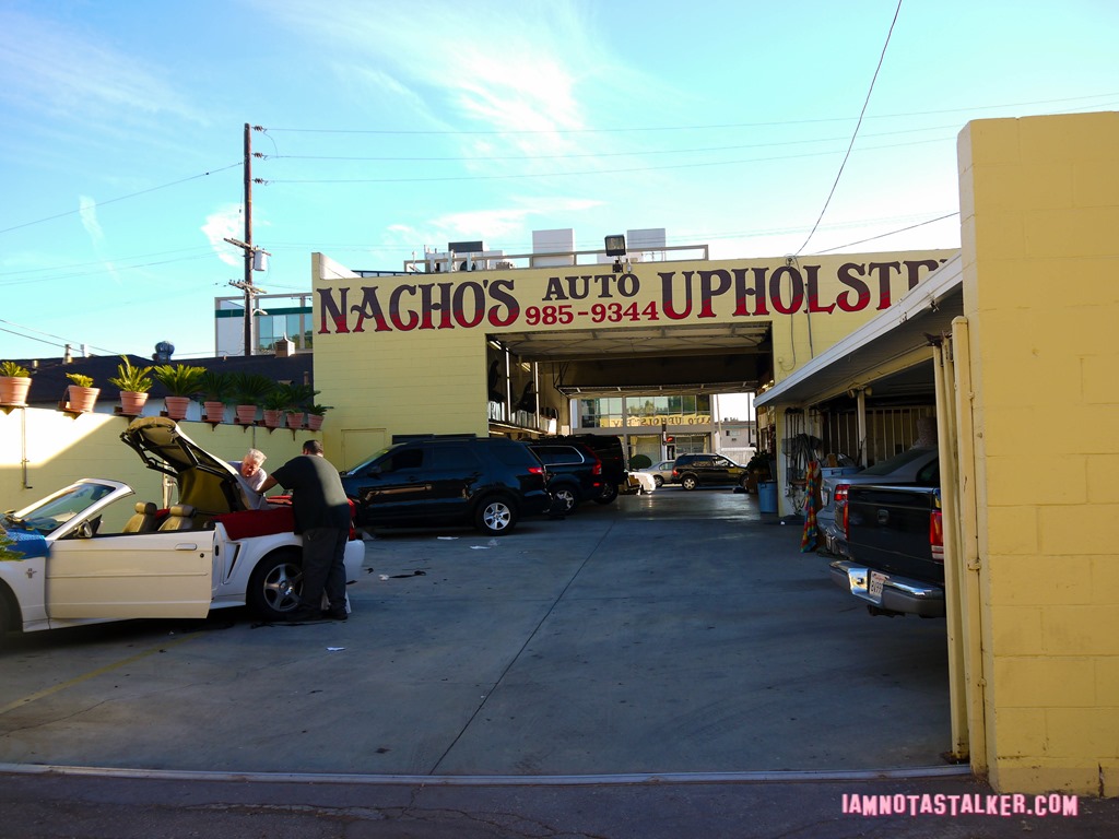Edgeway Auto Upholstery from Wicked City-6