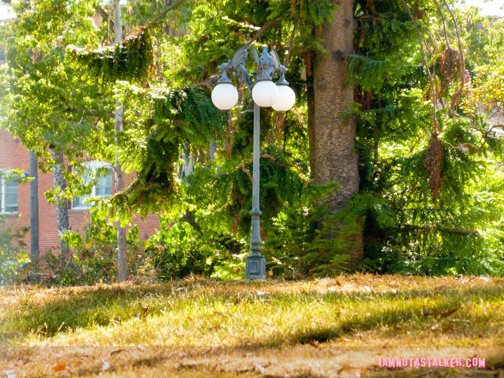 Rindge House (9 of 13)