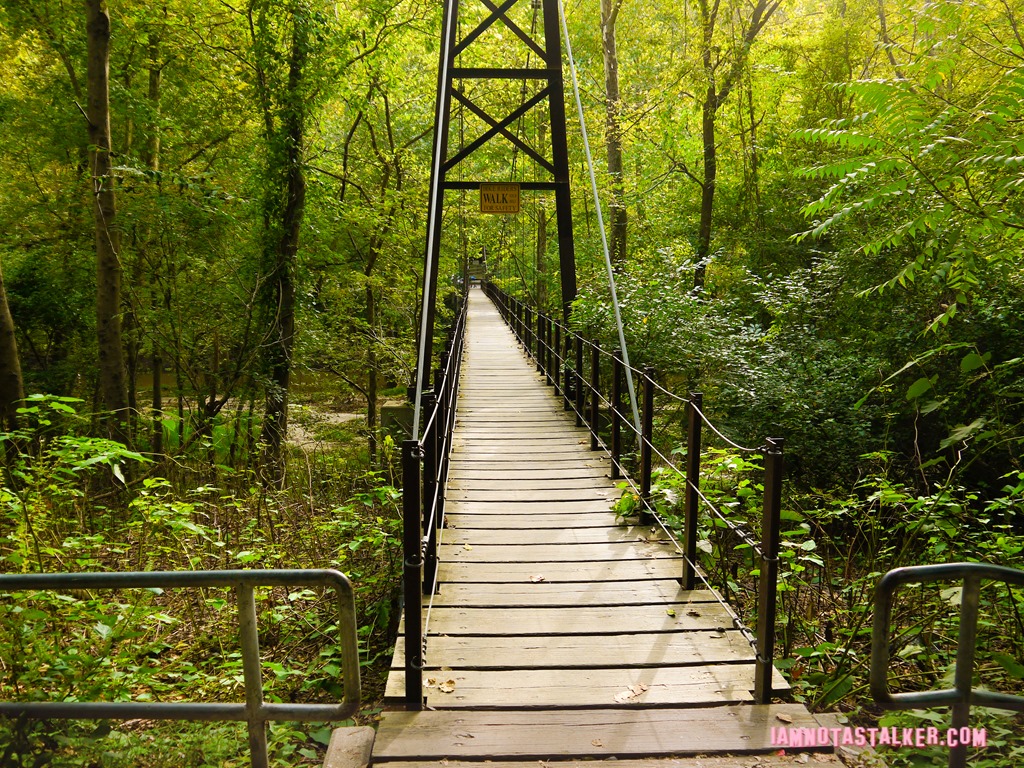 Patapsco Valley State Park from Serial-1170455