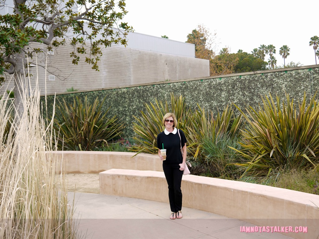 The Say Anything Amphitheatre-3
