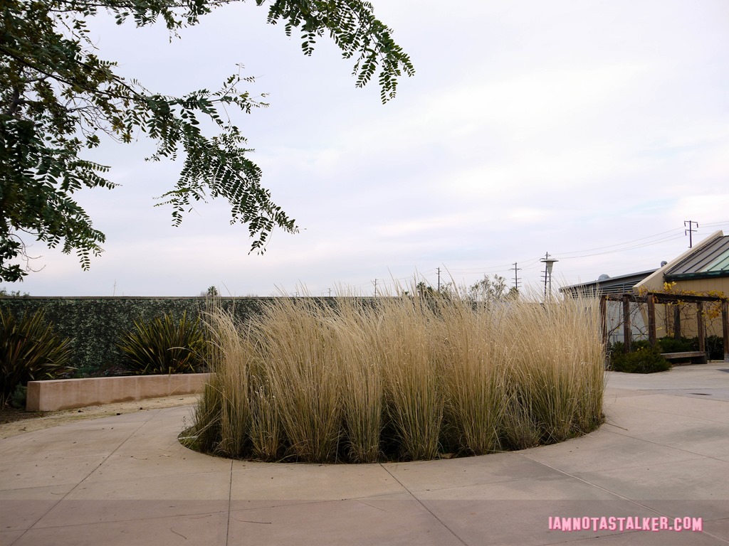 The Say Anything Amphitheatre-5