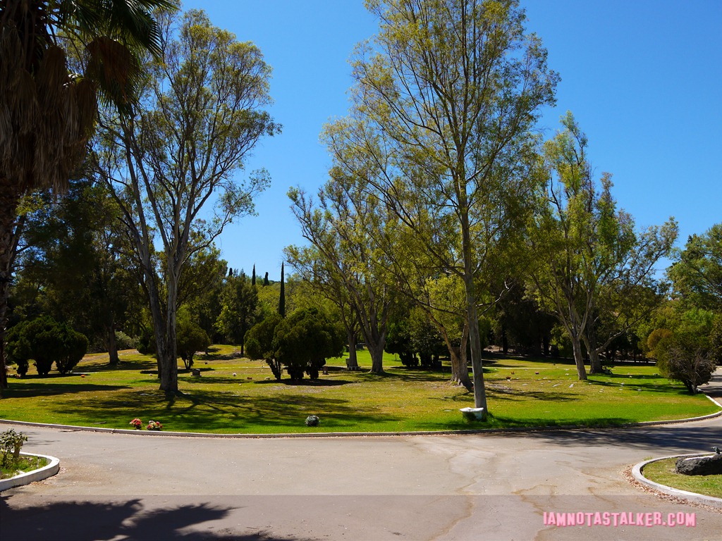 Los Angeles Pet Memorial Park (15 of 33)
