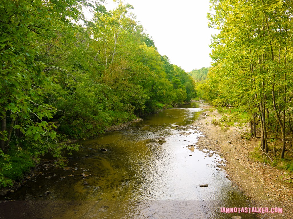 Patapsco Valley State Park from Serial-1170448