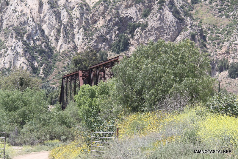 Highway-126-Stalking-(12-of-248)
