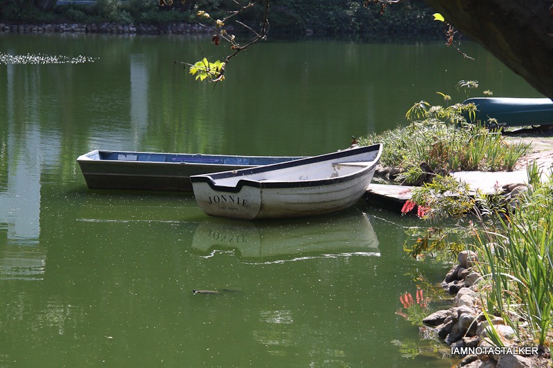 Lake-Shrine-Self-Realization-Fellowship-41
