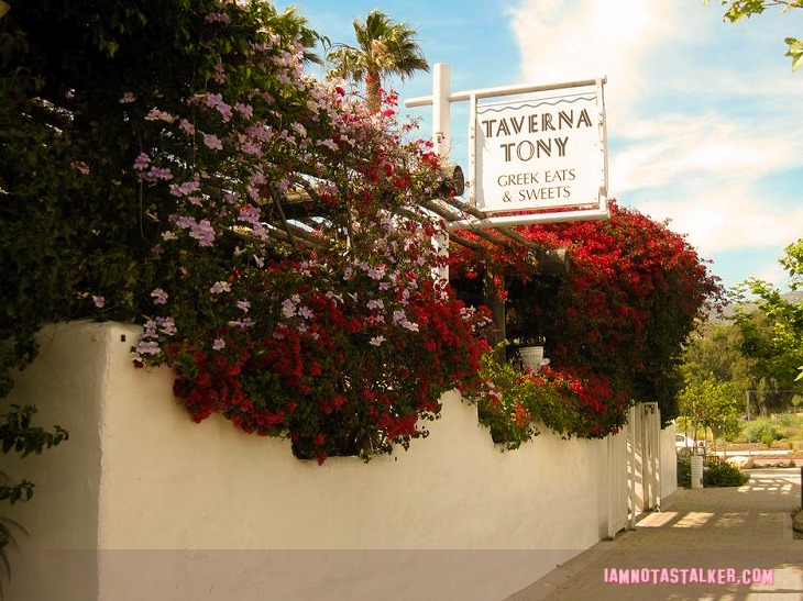 Taverna Tony (1 of 2)