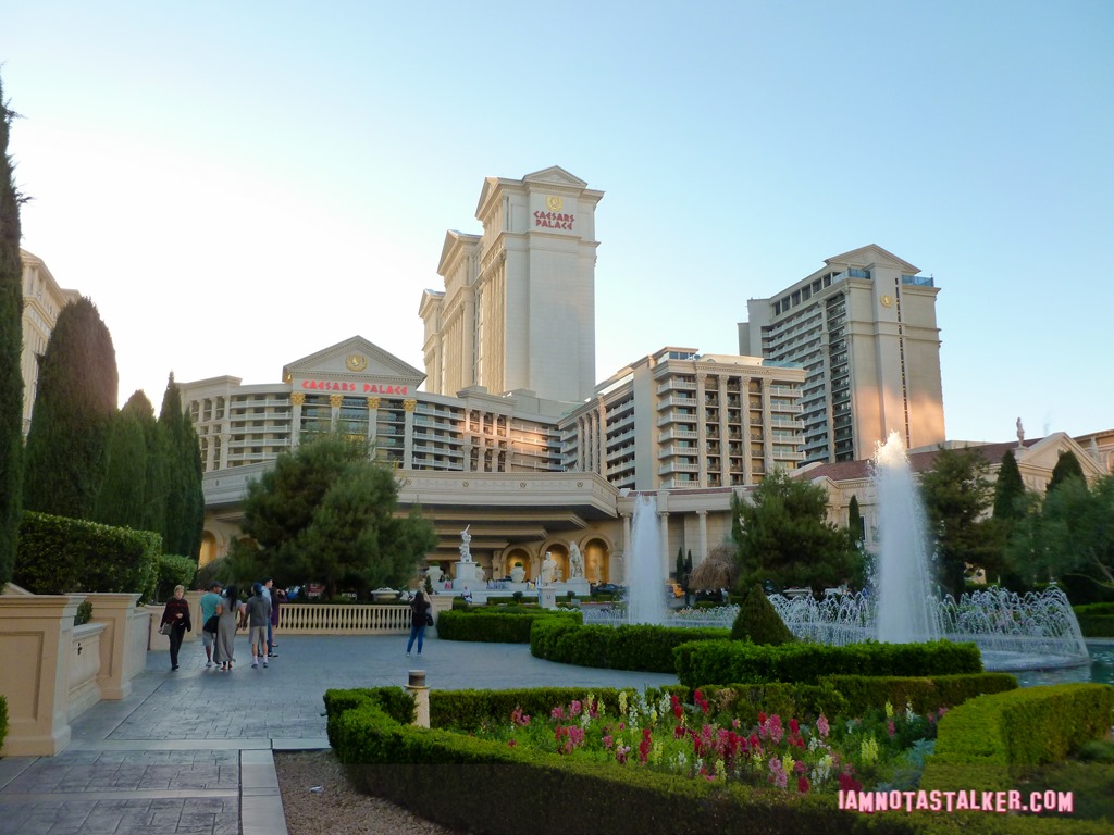 Caesar's Palace The Hangover (29 of 33)