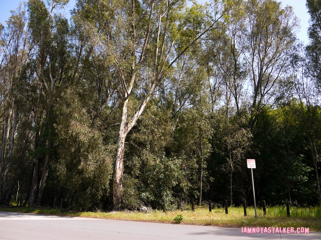L.A. Story freeway sign location (7 of 21)