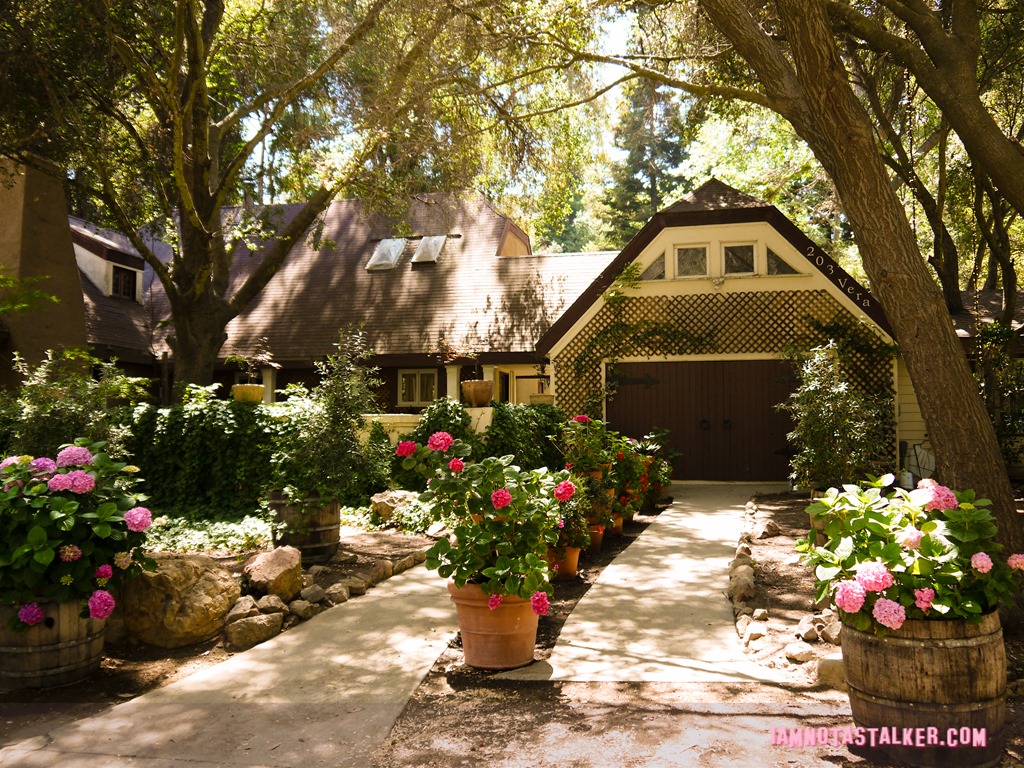 Hidden Away Andrew's House (1 of 9)